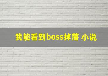 我能看到boss掉落 小说